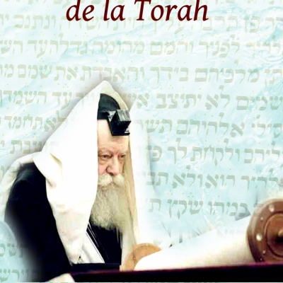 Regard 'Hassidique sur les Cinq Livres de la Torah