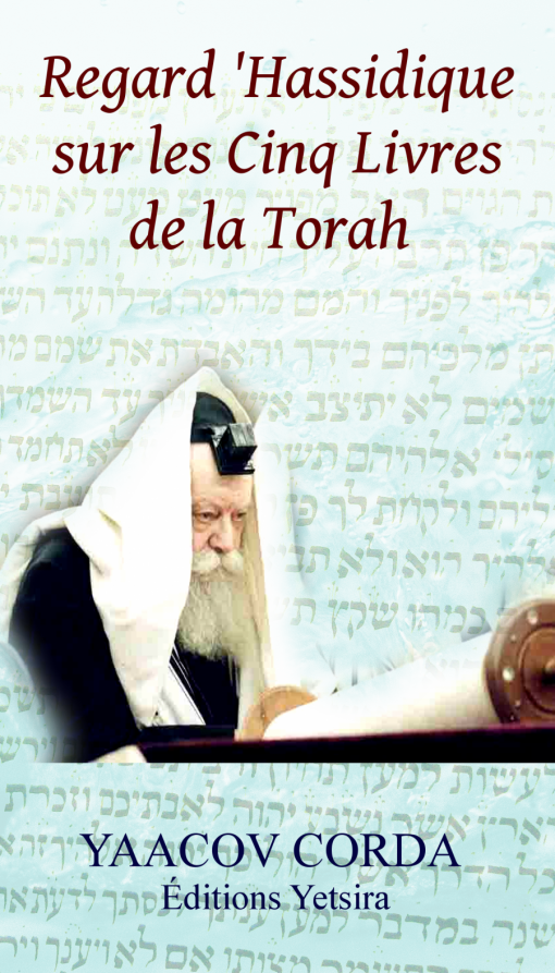 Regard 'Hassidique sur les Cinq Livres de la Torah
